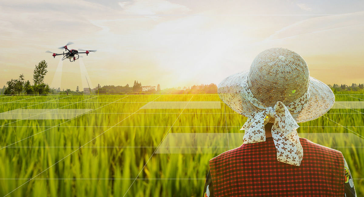 浙江1929cc威尼斯云农科技股份有限公司