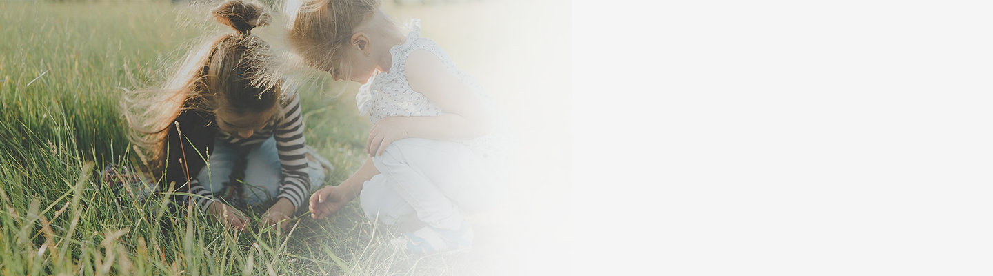 助力耕地质量保护