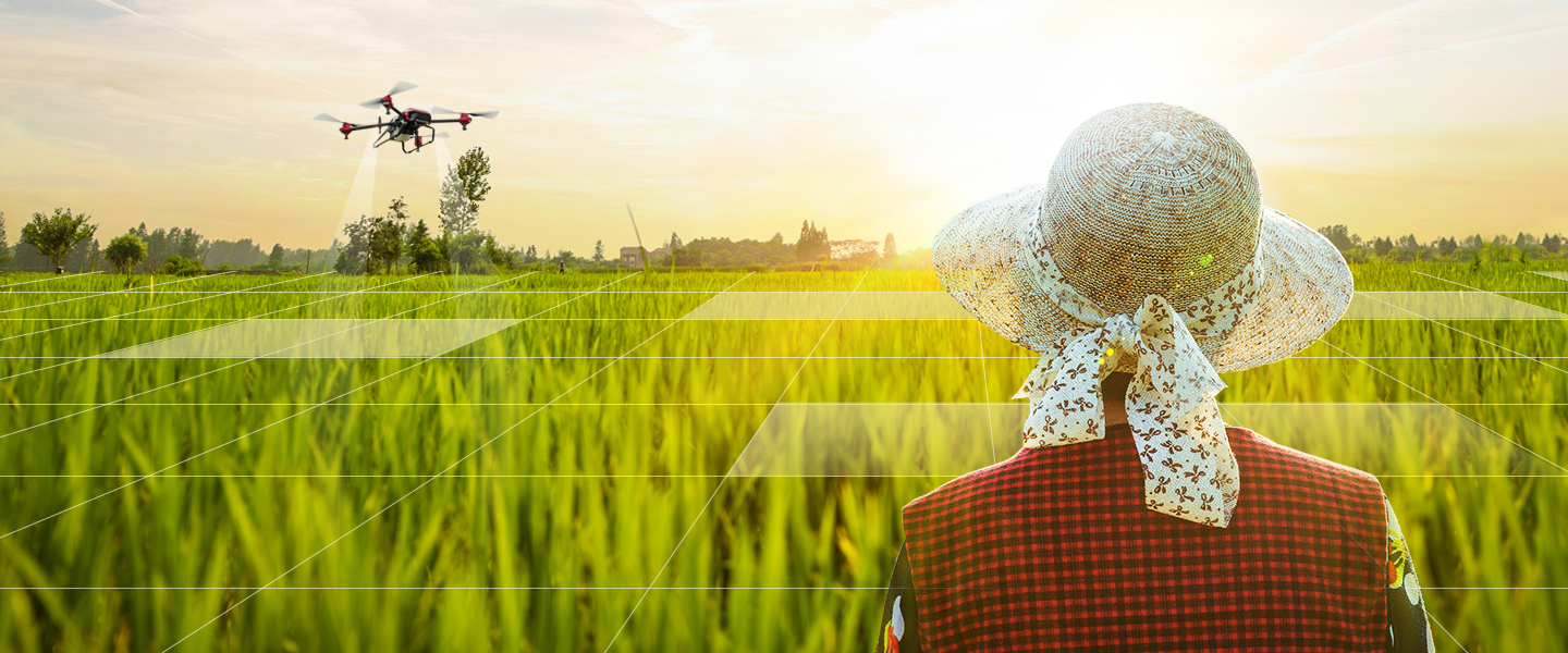 服务其他/新农人