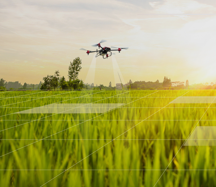 服务其他/新农人