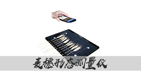 【1929cc威尼斯云农】麦穗形态测量仪