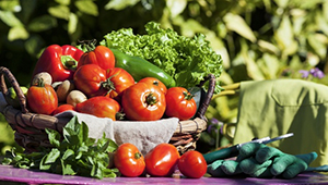 安徽省部署推动有机农业发展