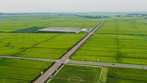 3000万亩高标准农田夯实“米袋子”