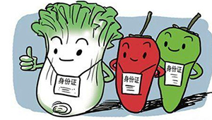 标准化生产＋专业化监管 山东打出组合拳，保障农产品质量安全