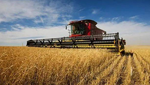 农业农村部：守住粮食安全生命线 严防耕地“非粮化”