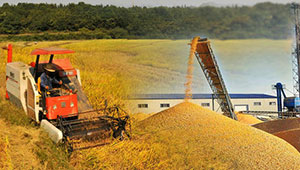 安徽：全省各地秋种基本结束