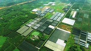 甘肃力争5年打造10个百亿元级现代农业产业园