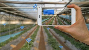 实施6项工程 河北农业产业数字化进程提速