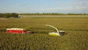 世界粮食日 | 中国粮食安全有保障 为世界作出积极贡献