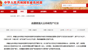 南疆夏播大豆再破高产纪录