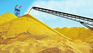 今年陕西粮食产量有望达二十年来最高