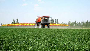 重庆市战“三夏”及秋粮生产农技行动取得明显成效