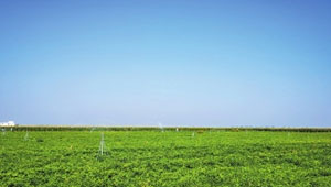 河南：“高标准农田+”的新模式