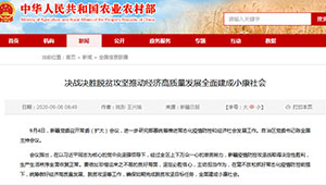  新疆：决战决胜脱贫攻坚推动经济高质量发展全面建成小康社会