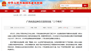 广西优良品种自主选育实现“三个率先”