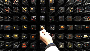 陇西:全力打造西部最大中草药种质资源库