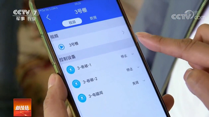 沙漠边上的绿色农业
