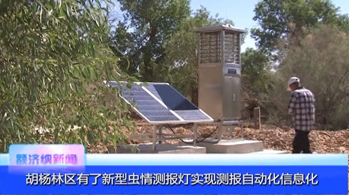 胡杨林区有了新型虫情测报灯实现测报自动化