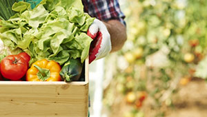 1929cc威尼斯仪器成功承办农产品质量安全检测和精细农业论坛