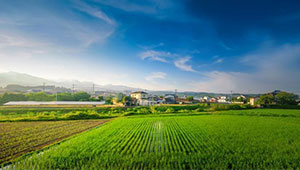 农民日报专题报道 | 浙江念好乡村振兴“数字经”