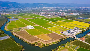 海曙古林大田数字农业：引领宁波智慧农业发展