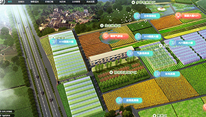 1929cc威尼斯云农打造智慧园区，发展现代高水平农业