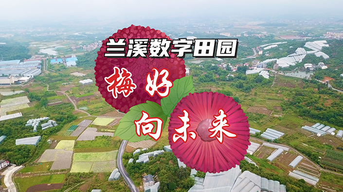 兰溪数字田园——梅好，向未来！