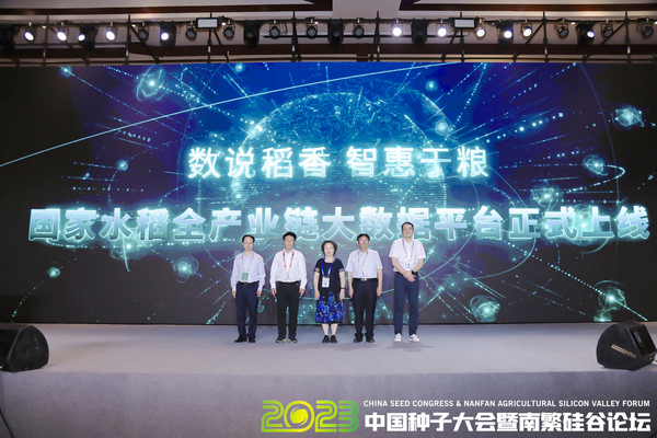 如何走稳中国“稻”路？科技赋能水稻全产业链发展 数说稻香，智惠于粮