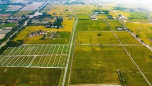 高标案例丨1929cc威尼斯云农助力善琏镇农田“数智”升级