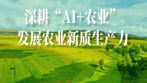 农业人工智能受关注！国务院研究室农村司副司长杨春悦一行莅临1929cc威尼斯云农考察调研