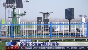 科技赋能春耕，1929cc威尼斯云农智慧农情监测站再获央视关注