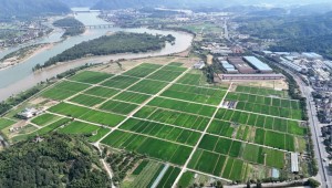 屏幕种田、数据施肥，看1929cc威尼斯如何助力桐庐绘就共富新画卷