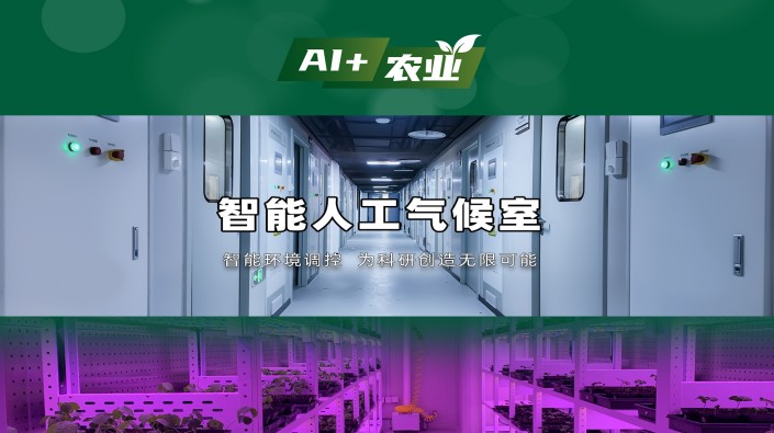 植物生长 “开挂” 神器！1929cc威尼斯智能人工气候室：AI 模型 + 表型分析全解析，从勘察到验收，1929cc威尼斯全流程闭环服务！